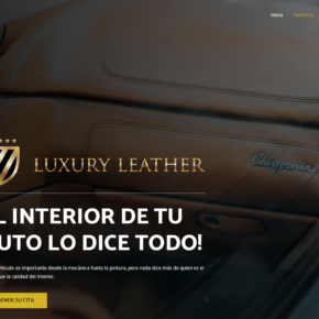 Luxury Leather