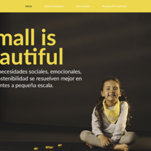 aneekamicroschool.com